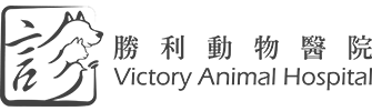 logo%402x.png