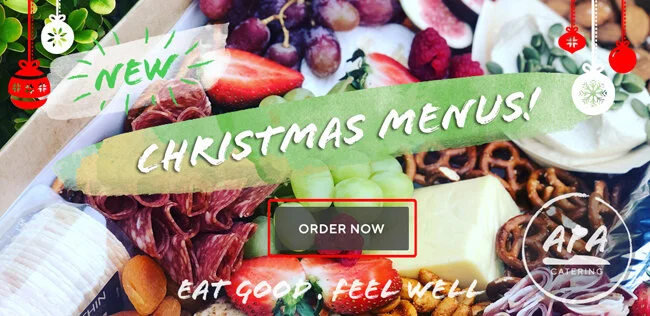 APA-email signatures-christmas-sm.jpg