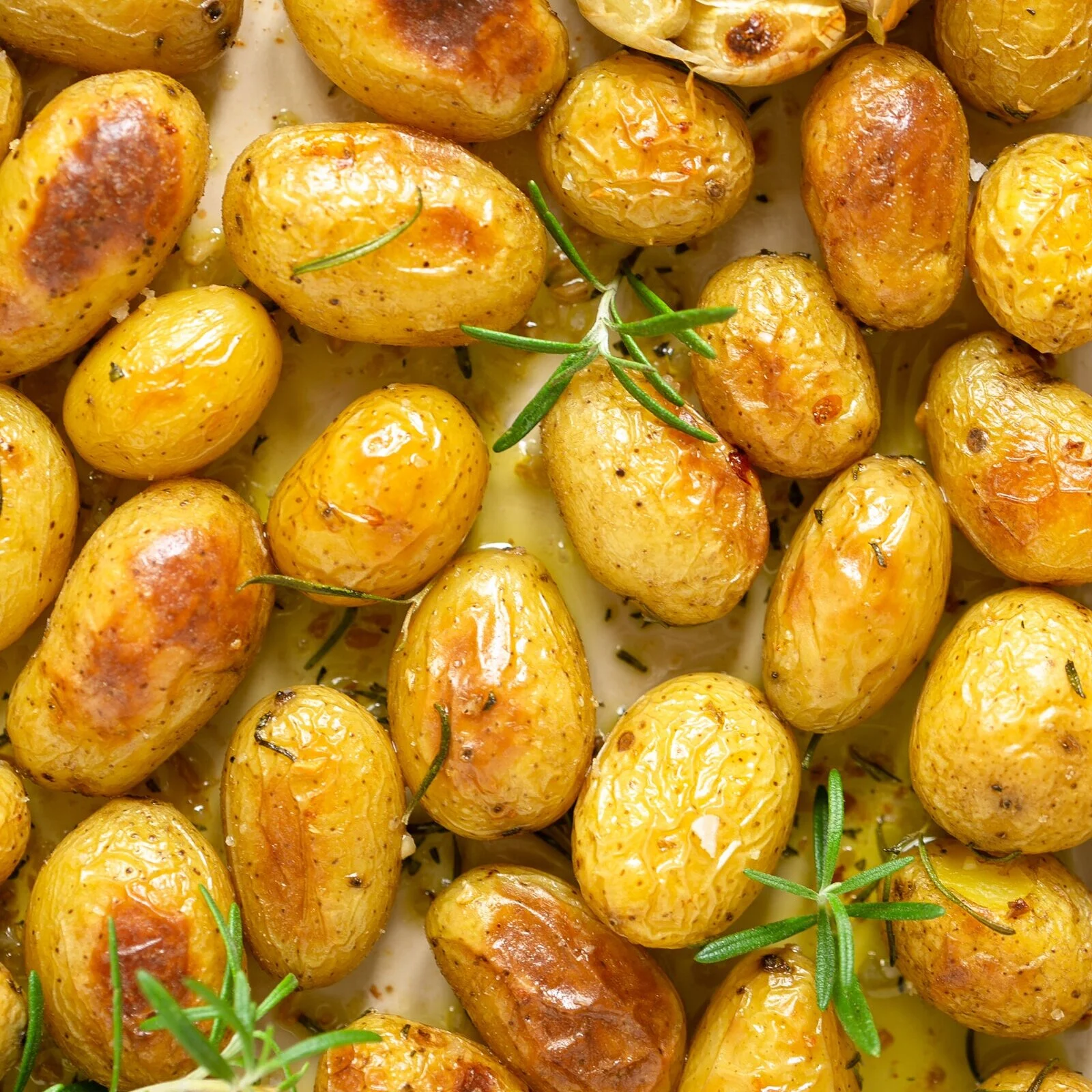 The Mini Cup — A Plated Affair