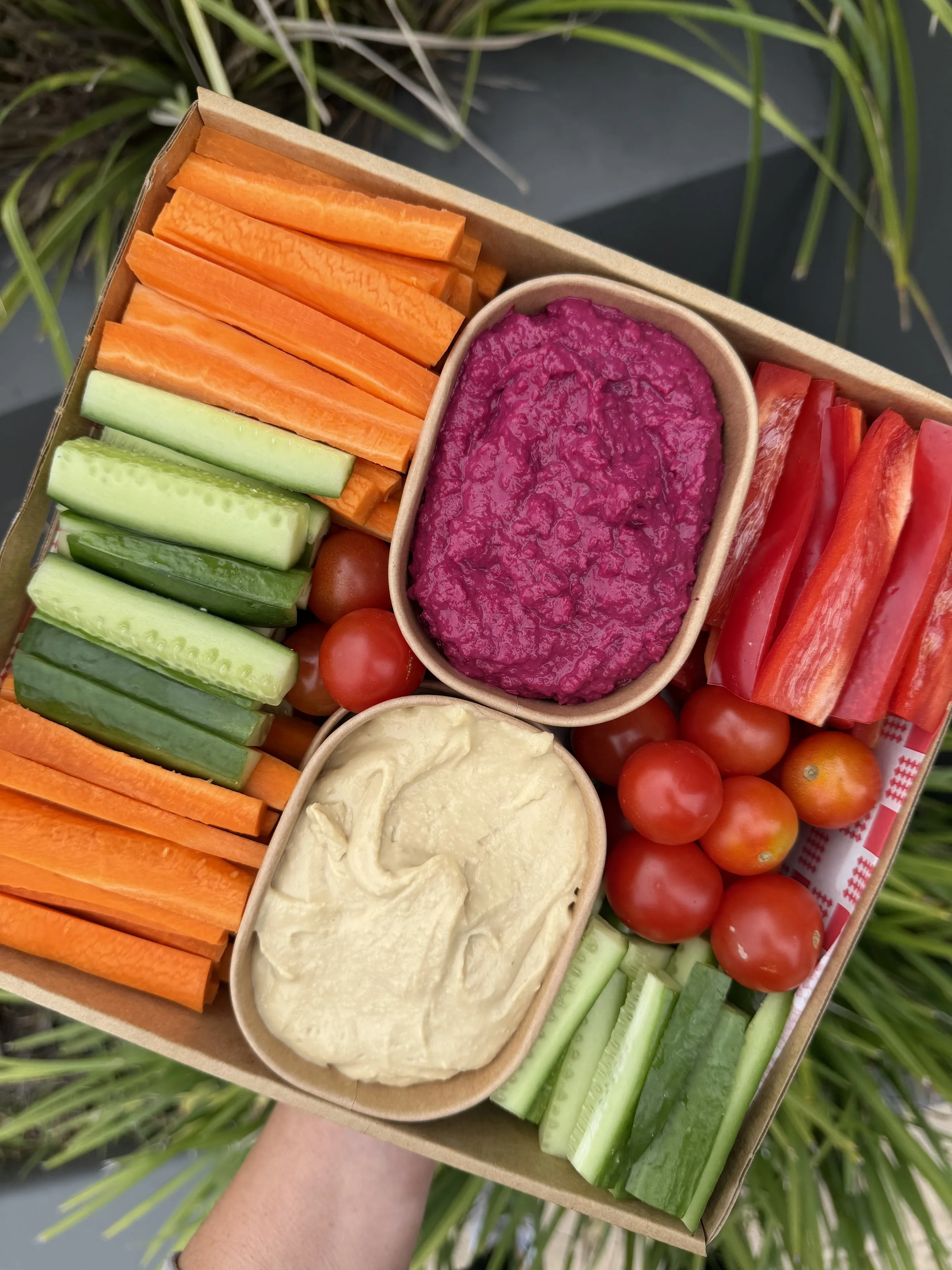 The Rainbow Grazing Box