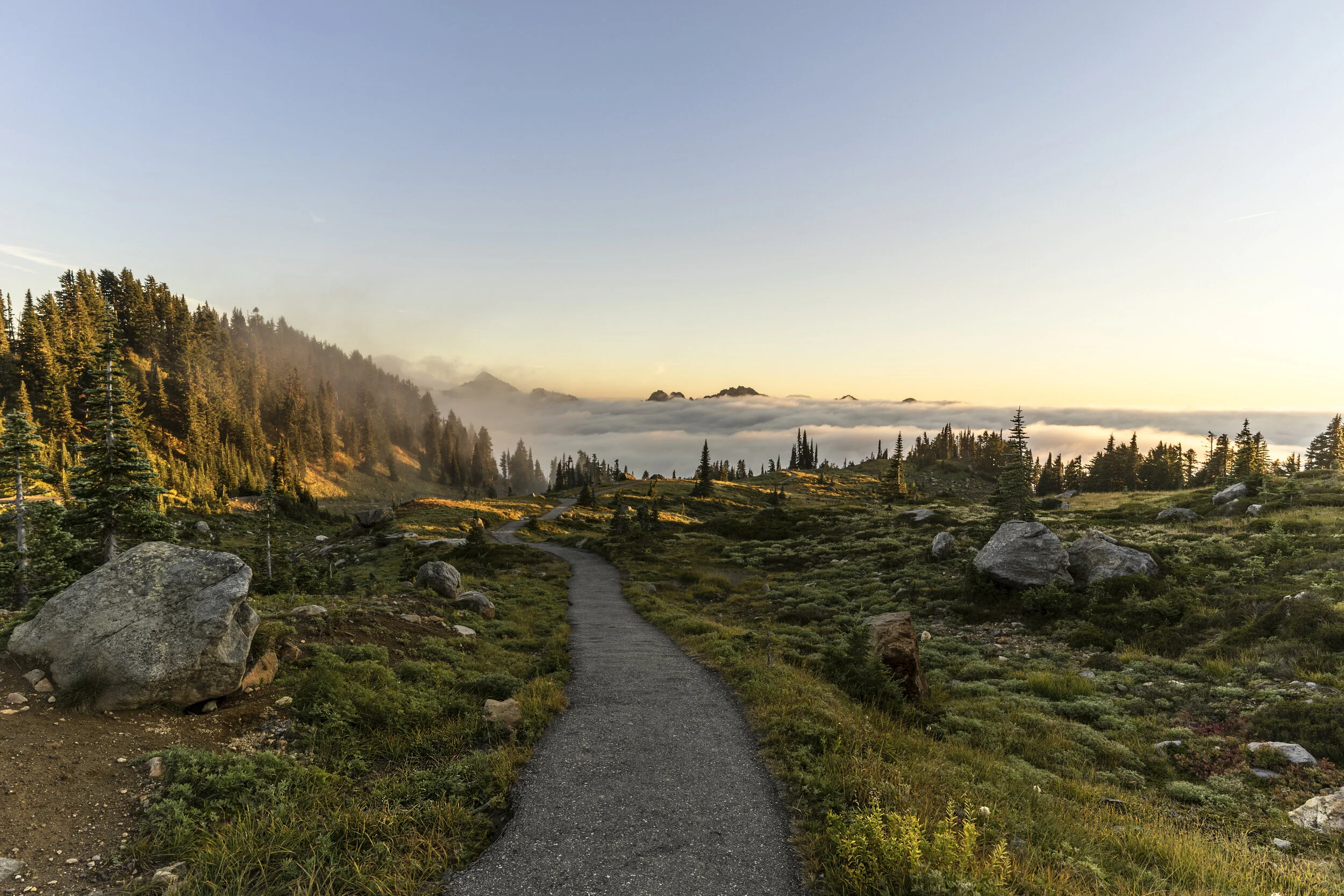 foggy sun set low res.jpg