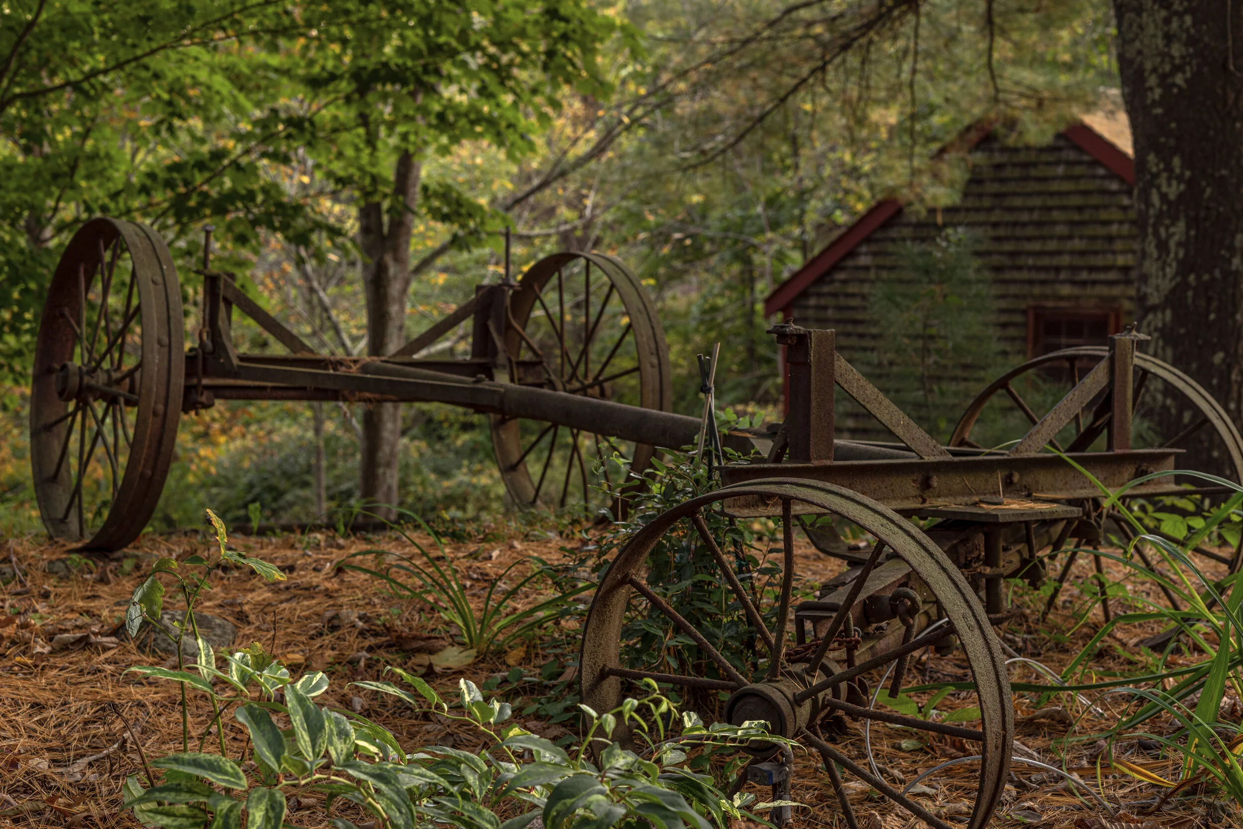 wagon wheels low res.jpg