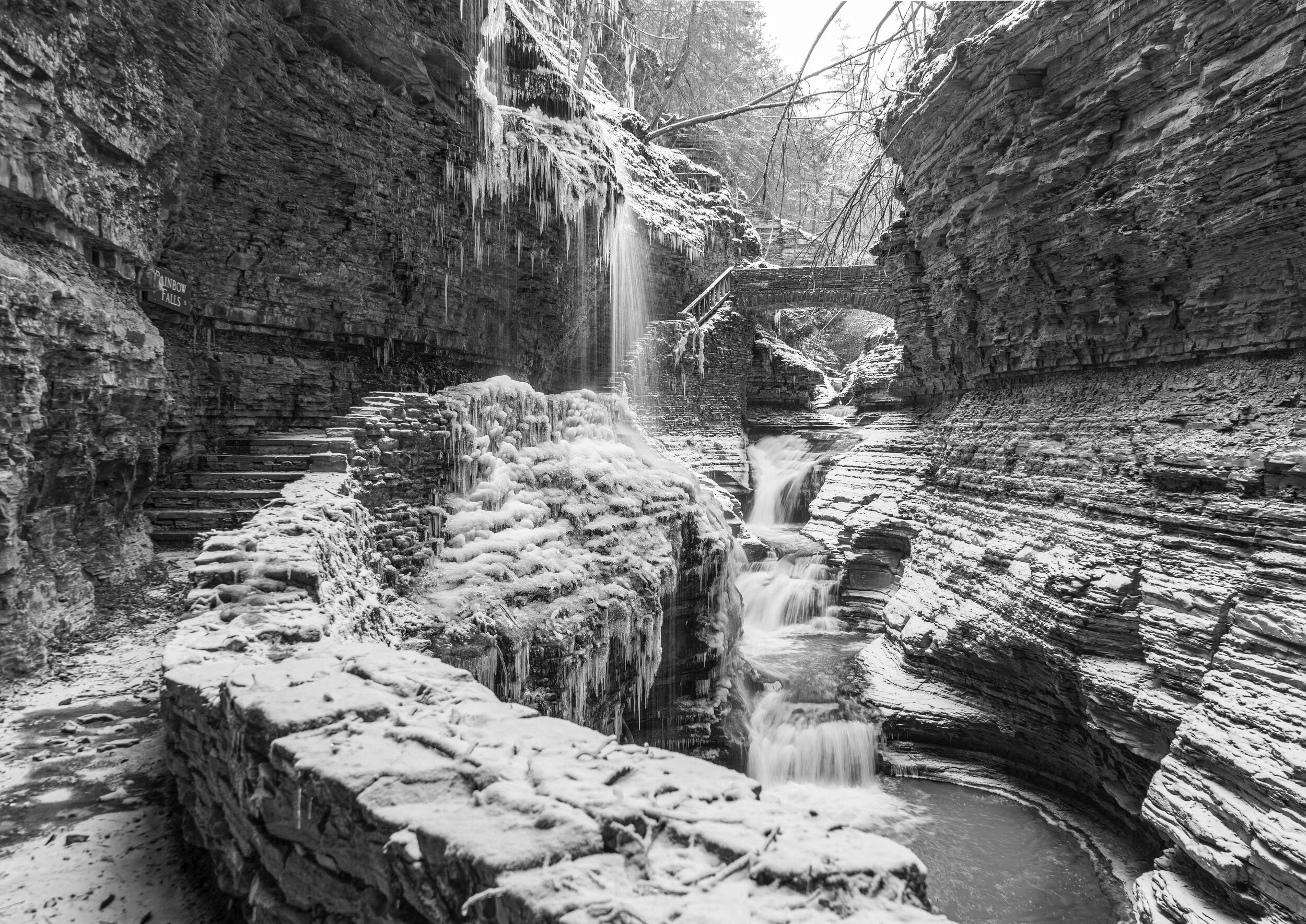 Watkins Glen. 