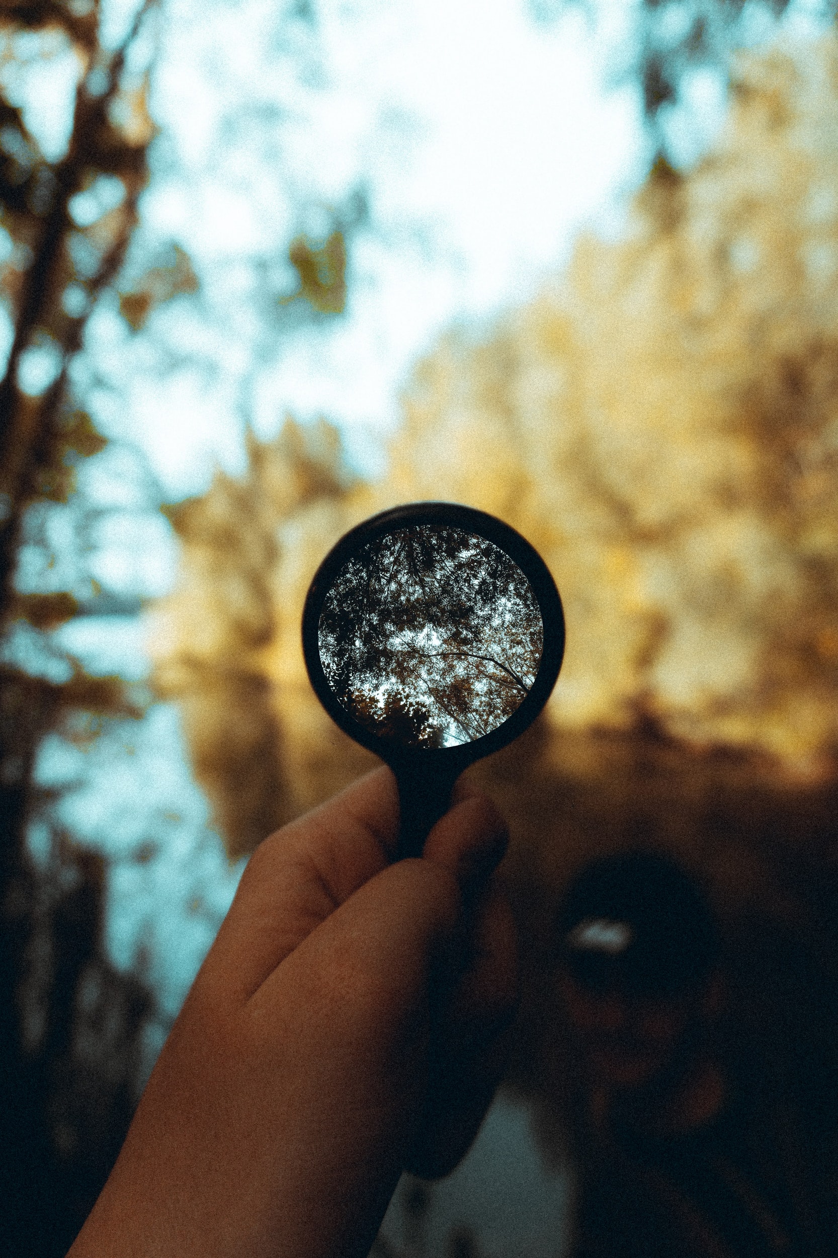 Websites and SEO 101 