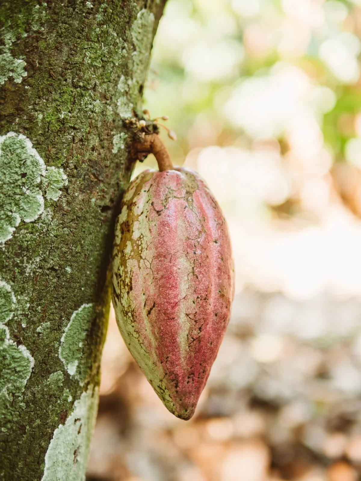 WhatsApp Image 2021-08-21 at 15.04.29.jpeg