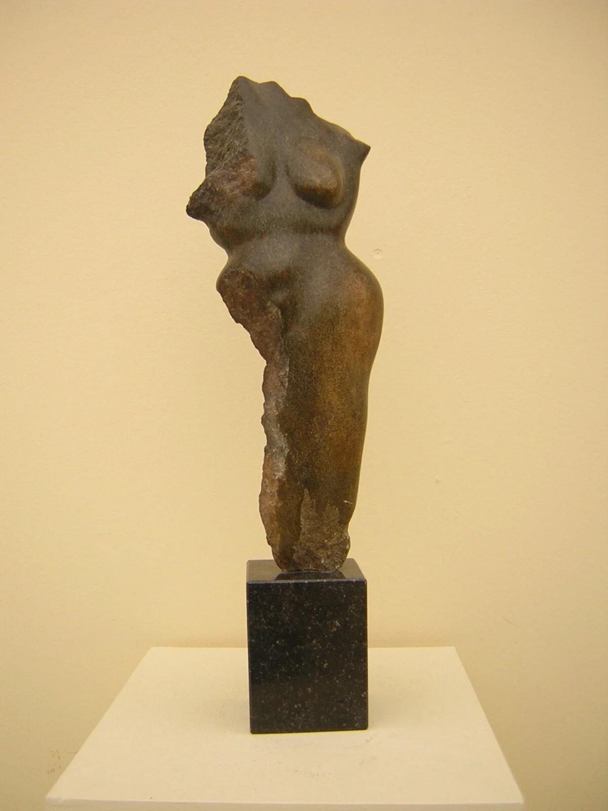 Female Black serpentijn 40cm