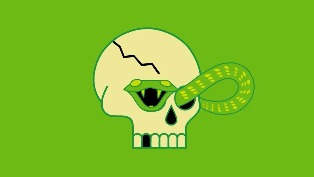 Vocation / An Eye for Detail