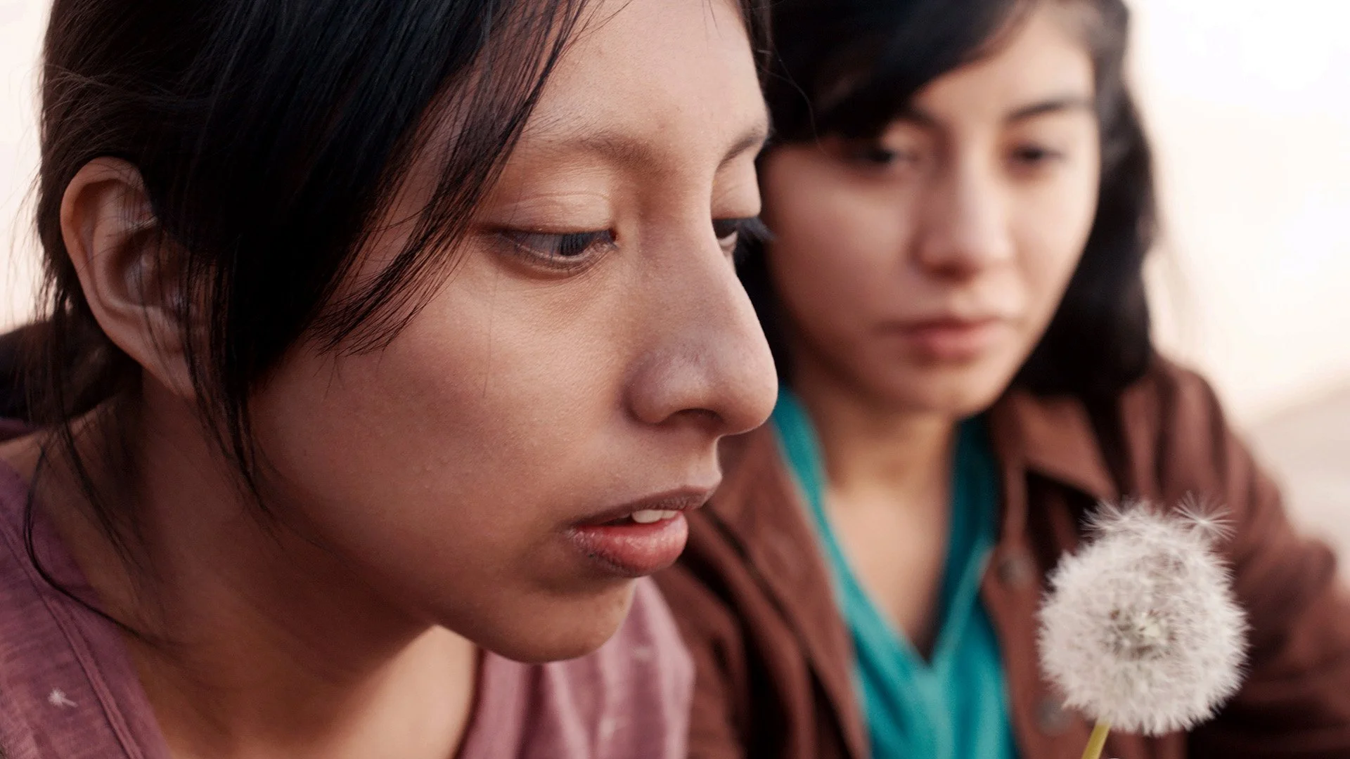 DAY 7 - DANDELION DIR. LORENA R VALENCIA