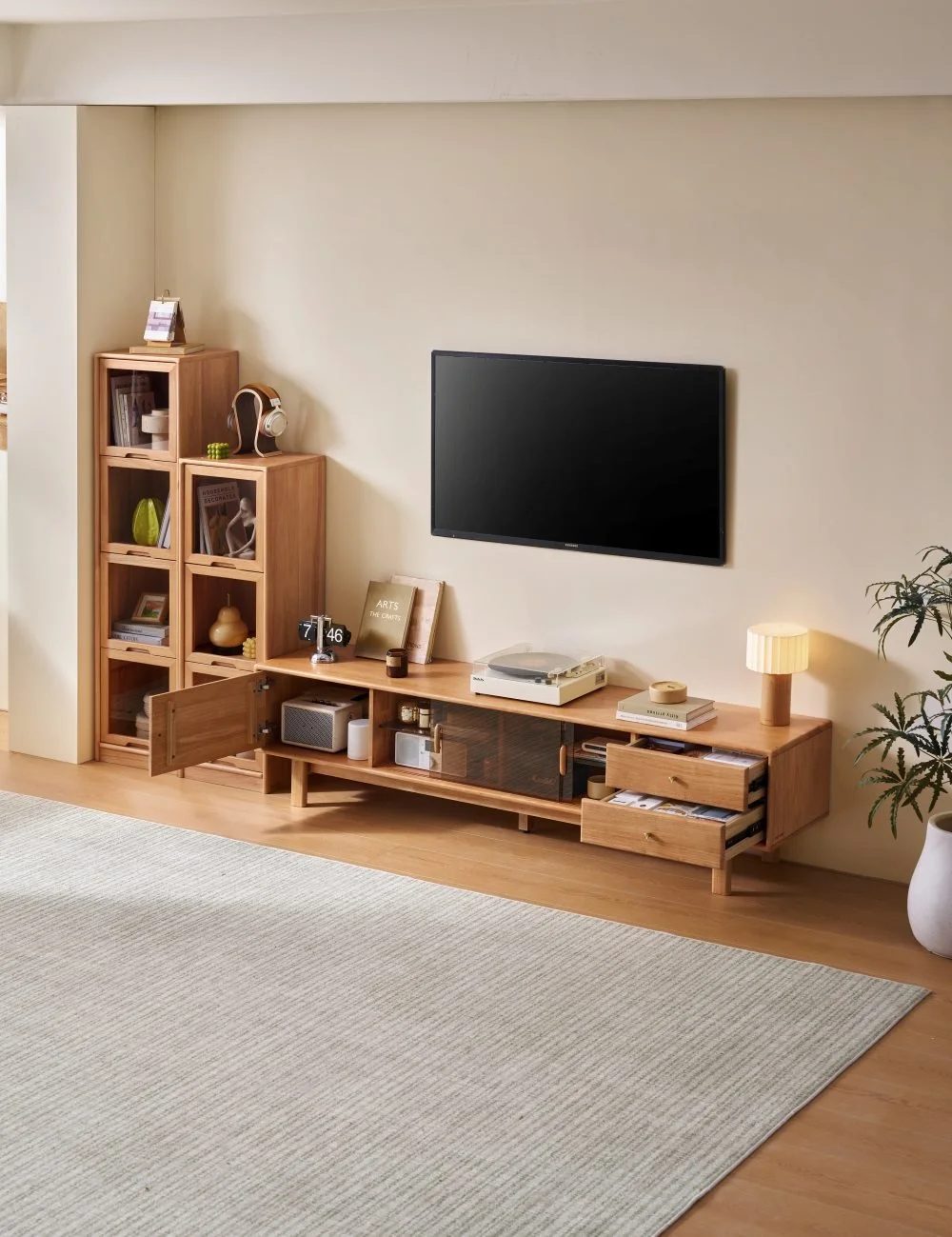 Pulsen Tv Bottom Module TG3M (5).jpg