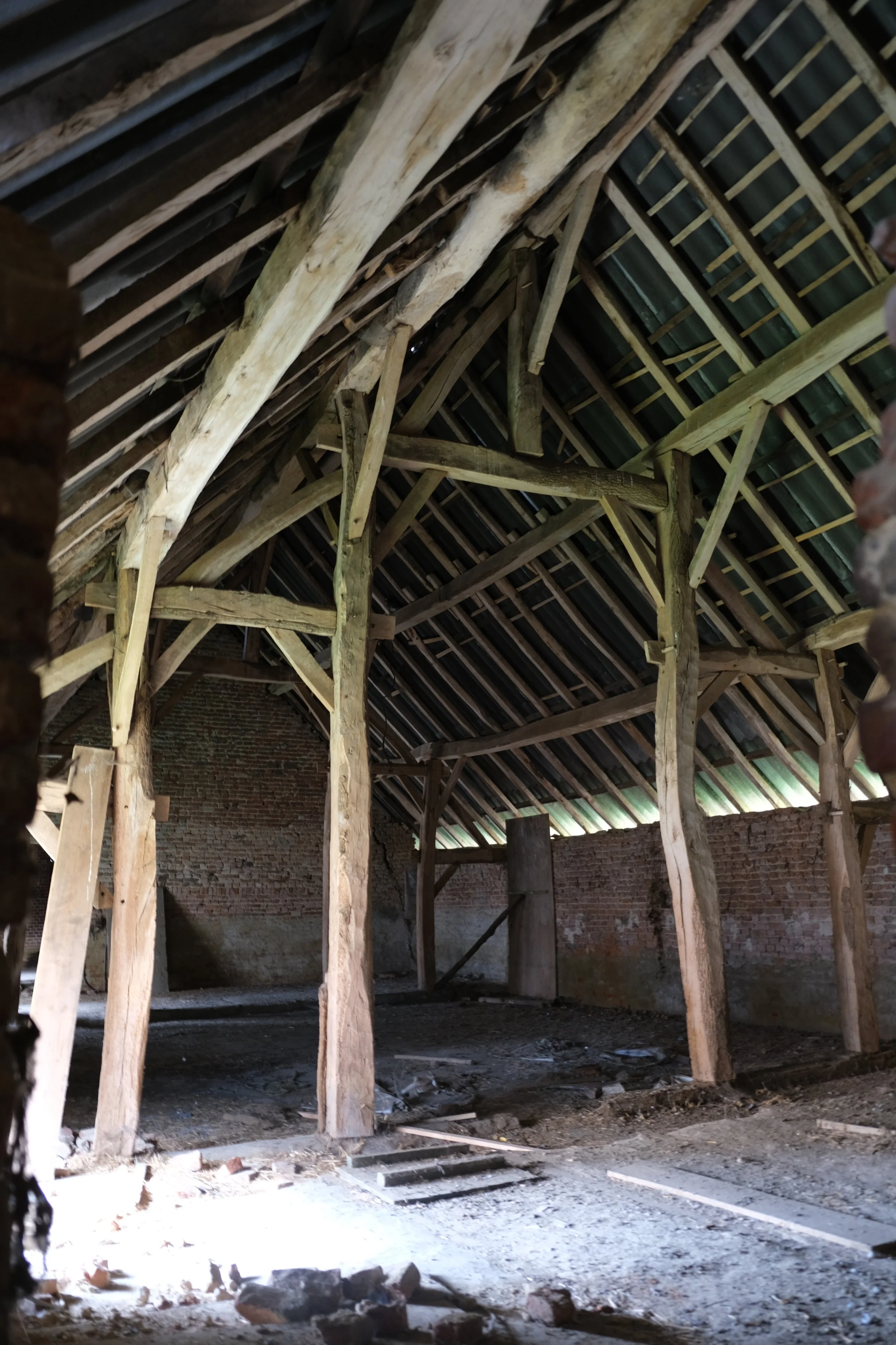 DSCF5905.JPG