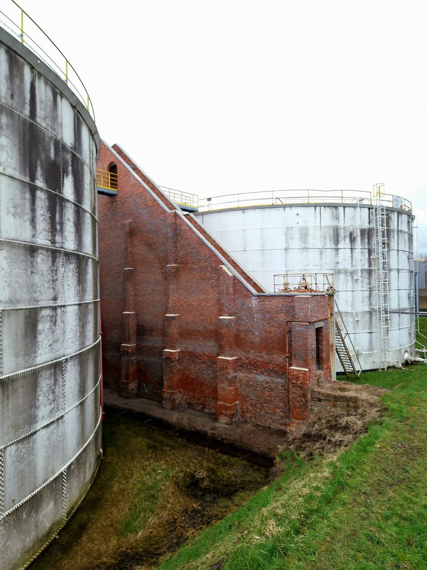 WhatsApp Image 2024-04-11 at 14.26.20.jpeg