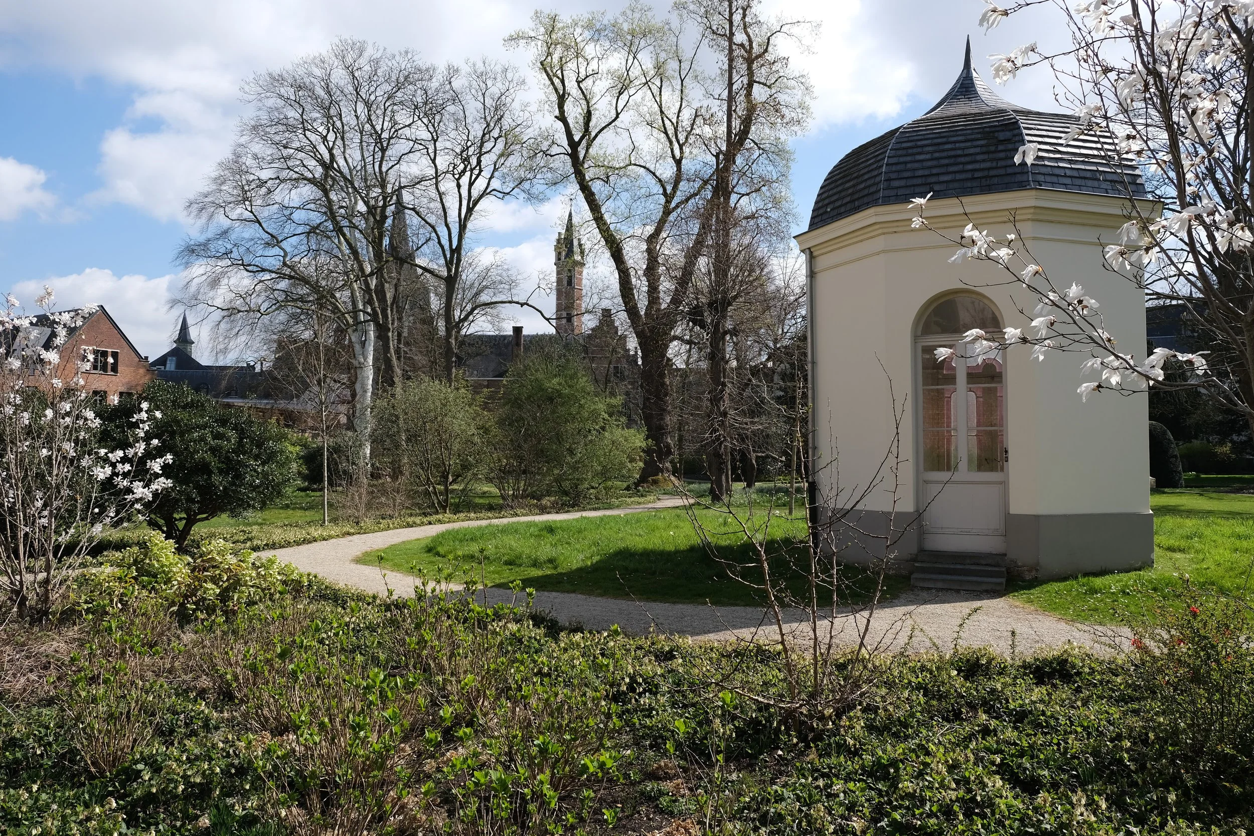 DSCF8446.JPG