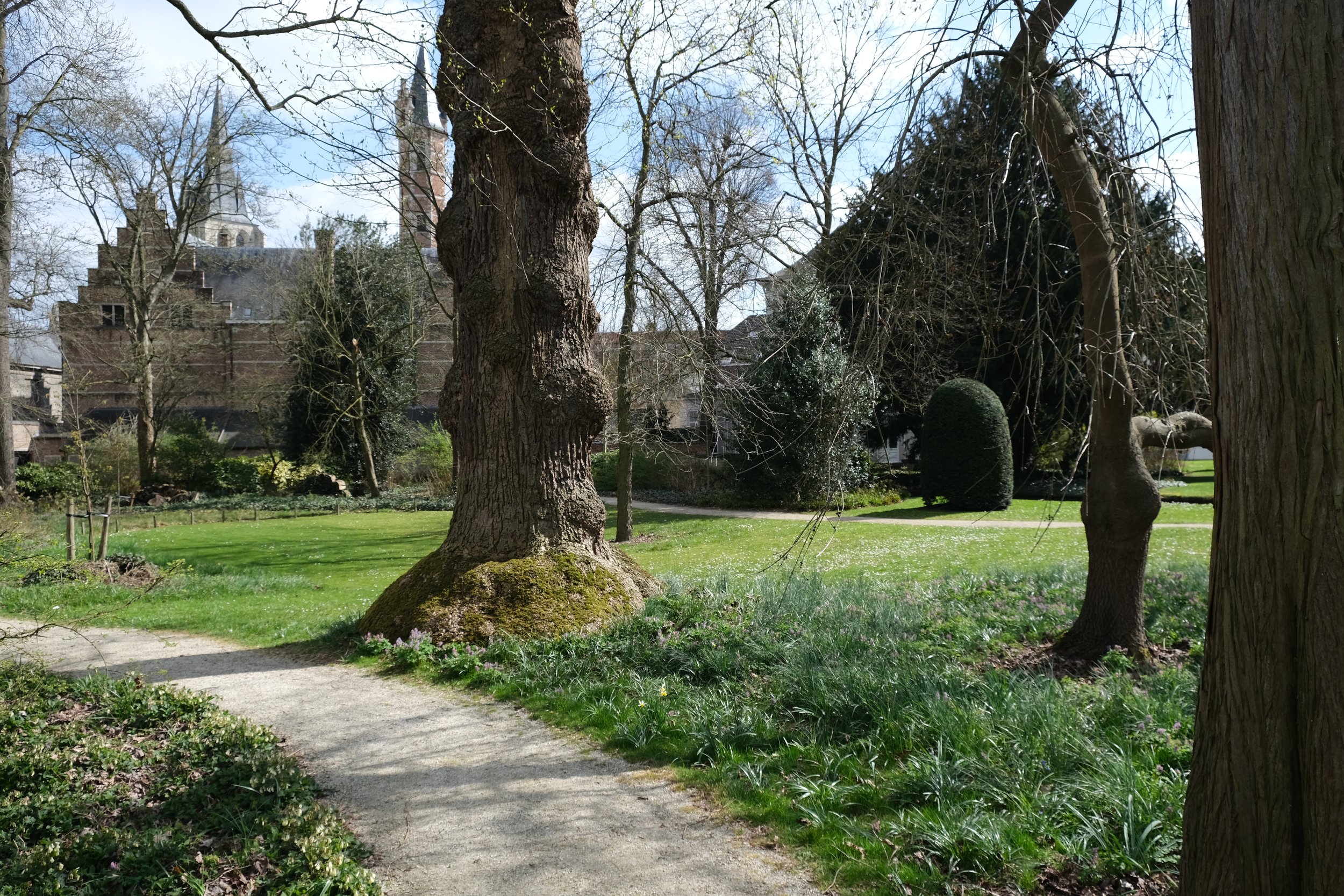 DSCF8509.JPG