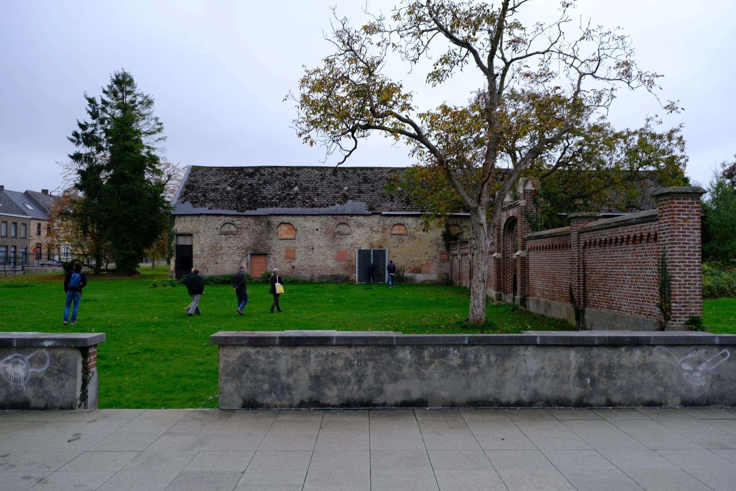 DSCF2359.JPG