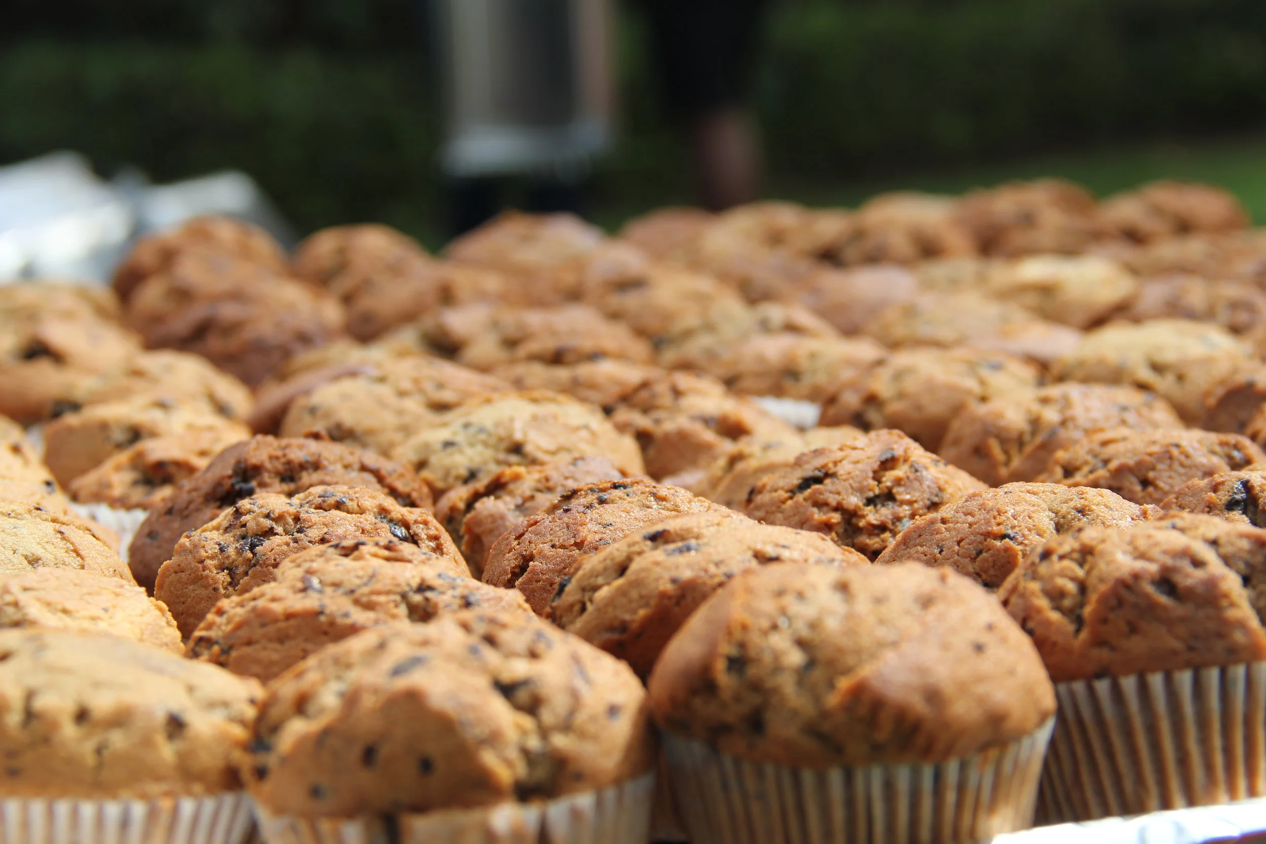 Muffins - vegan, easy und superlecker!