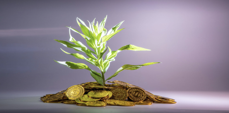 Capture d’écran 2026-01-07 à 08.31.40.png