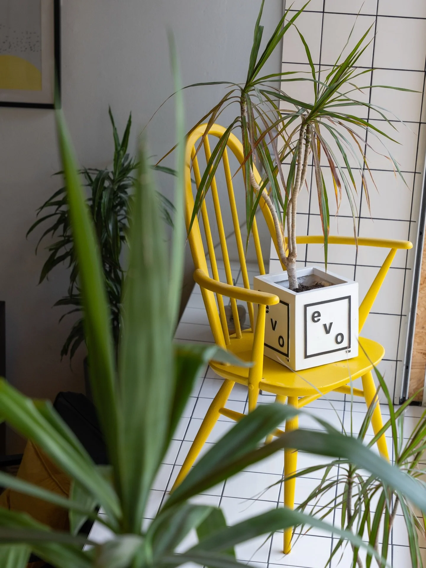 Good energy and a clean space 🌿

Get over them January blues and get booked in through our website 

www.hausmalegrooming.co.uk