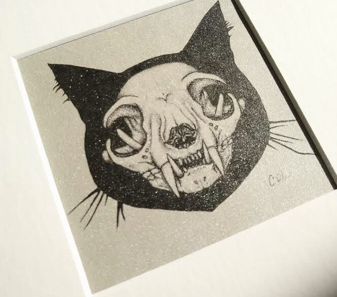 SkullCatClose.jpg
