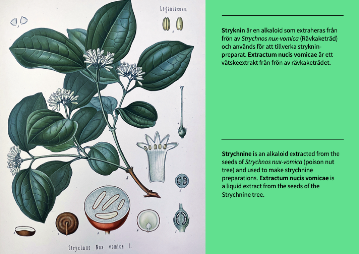 Bild4.png