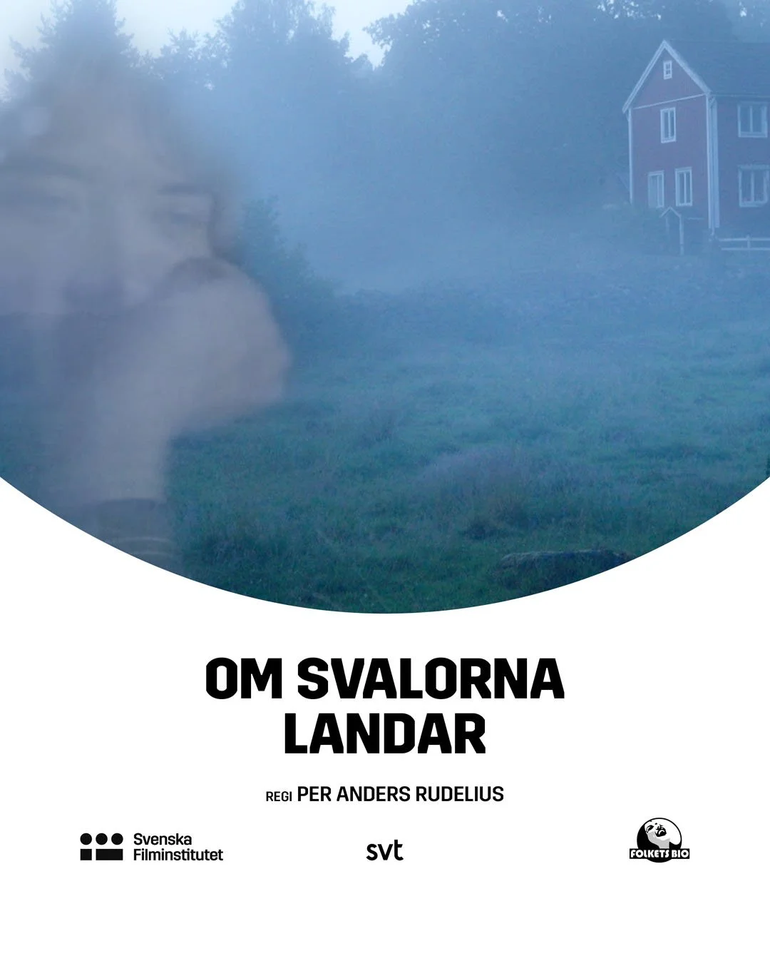Om svalorna 1080x1350.jpg