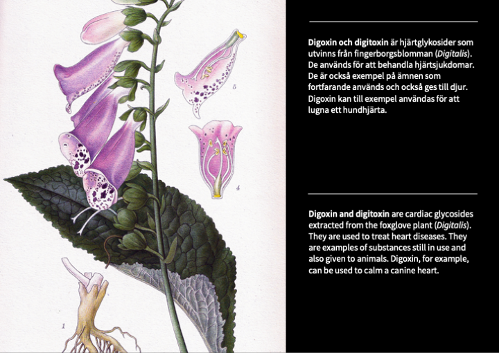Bild2.png