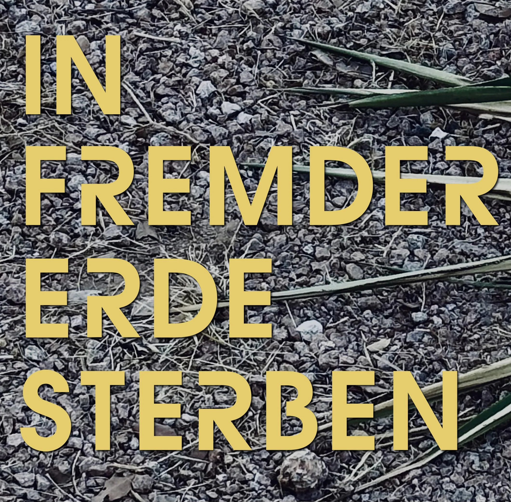 Performance: In Fremder Erde Sterben