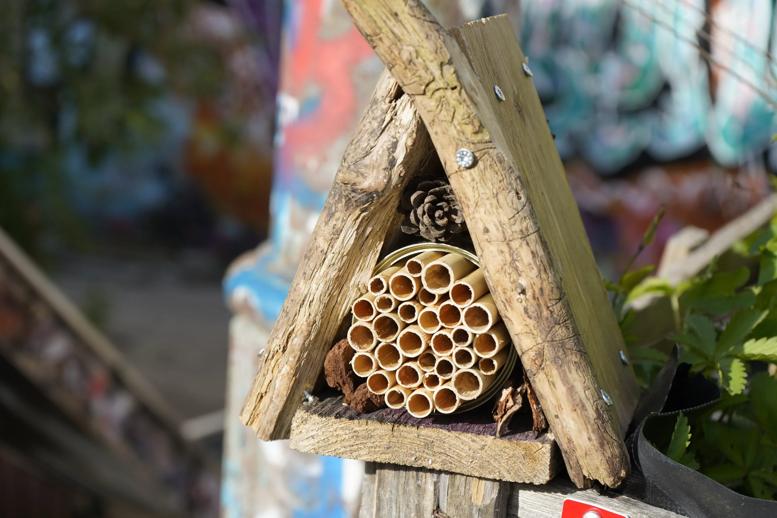 Wildlbienennest aus Holz