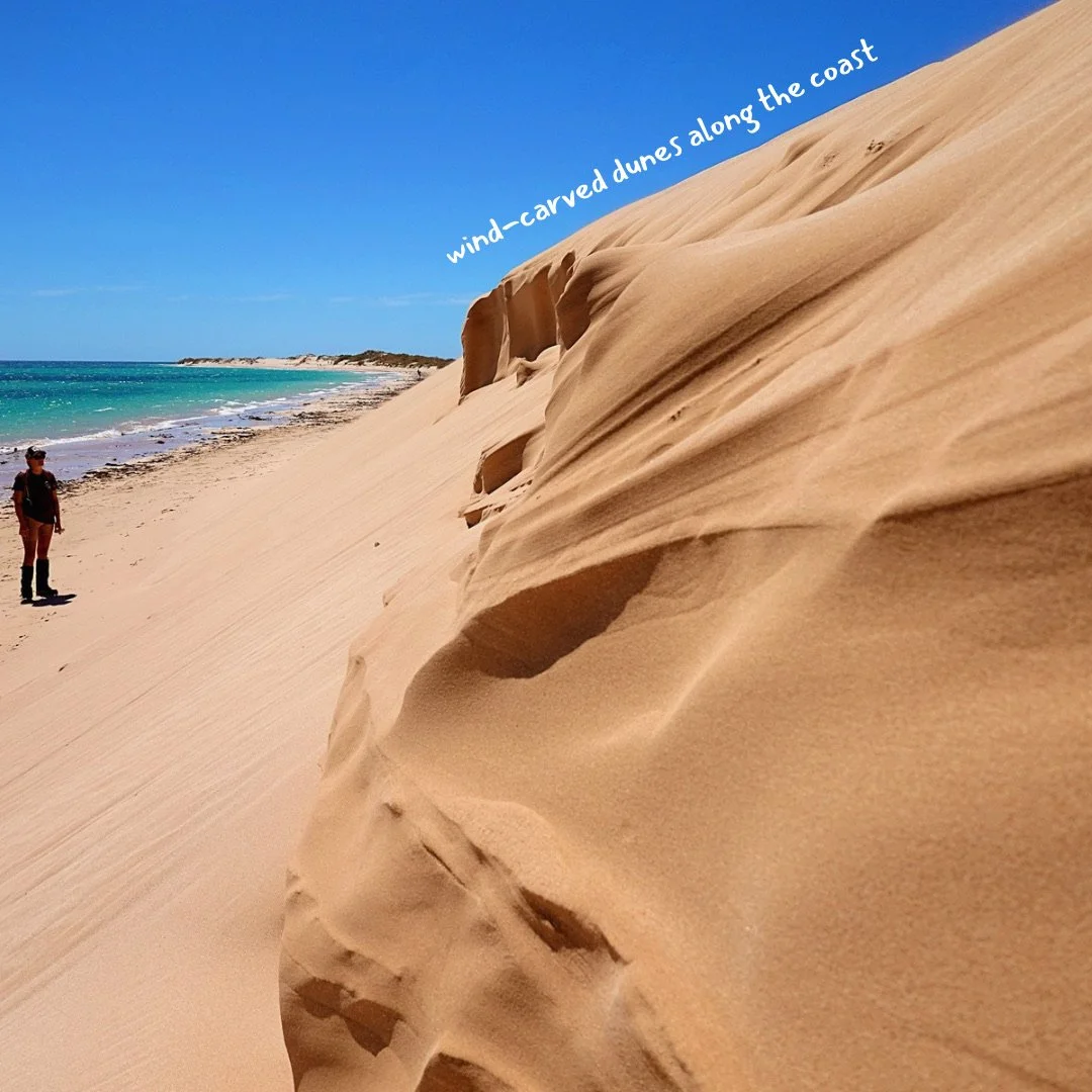 sand and landscape change april 2026 - 2.JPG
