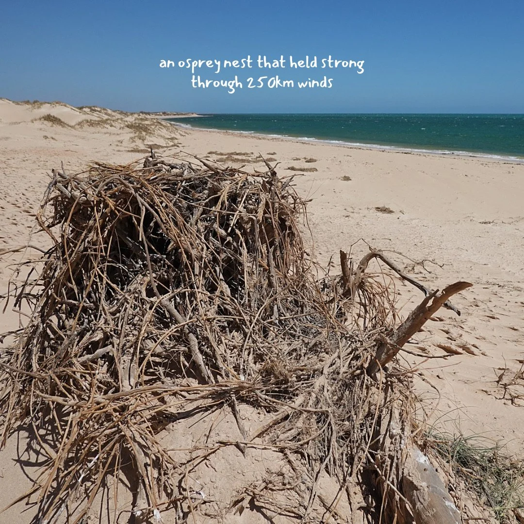 sand and landscape change april 2026 - 4.JPG