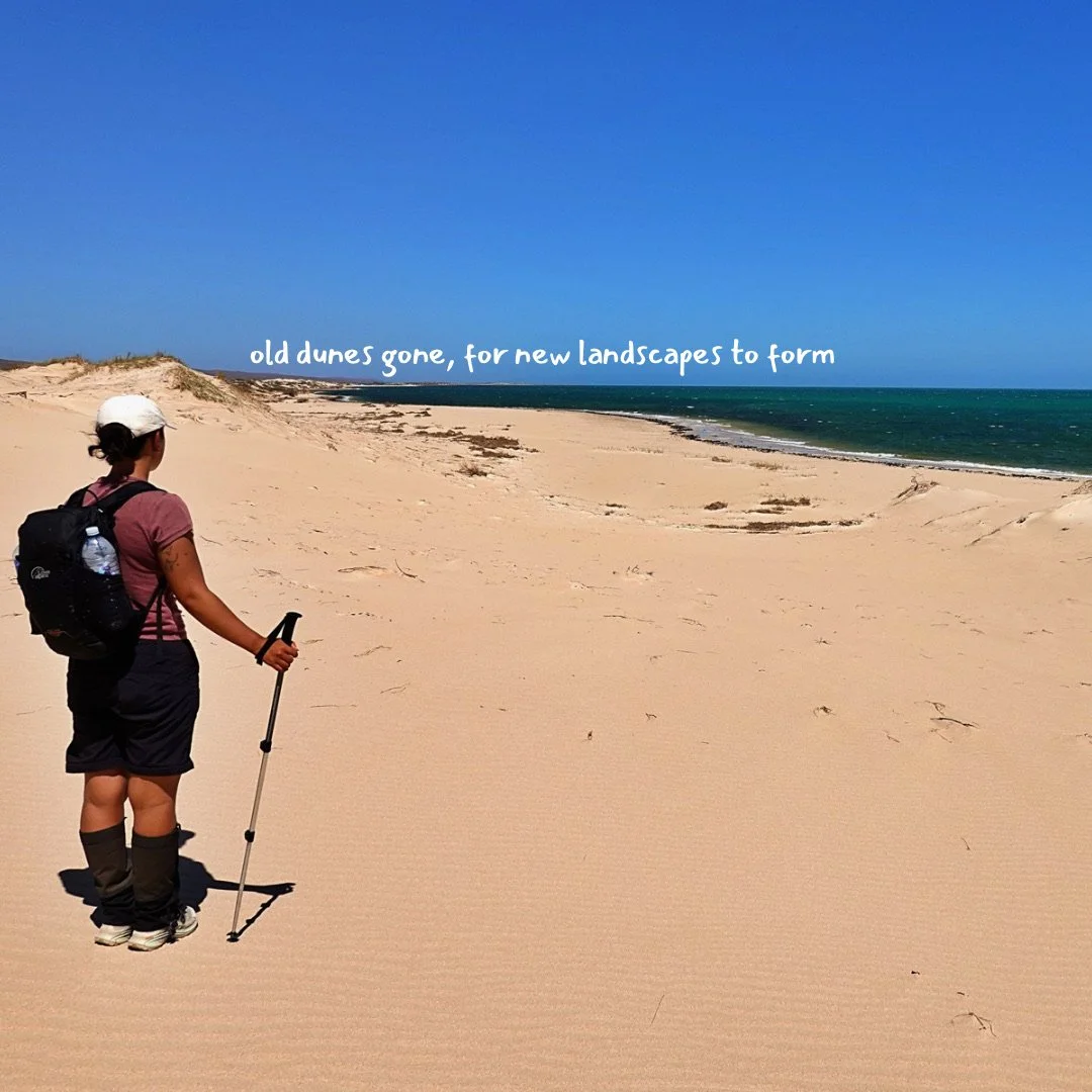 sand and landscape change april 2026 - 3.JPG