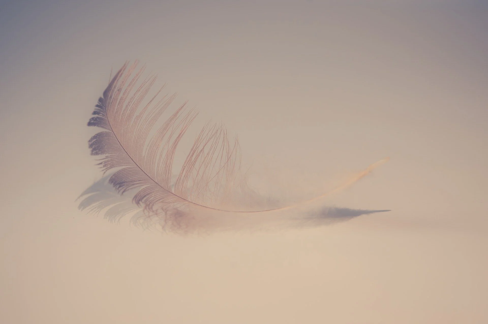 feather-2947022_1920 pixabay.jpg