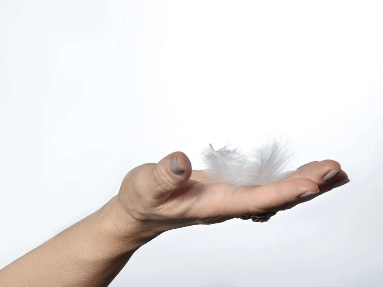 Feder in meiner Hand.jpg