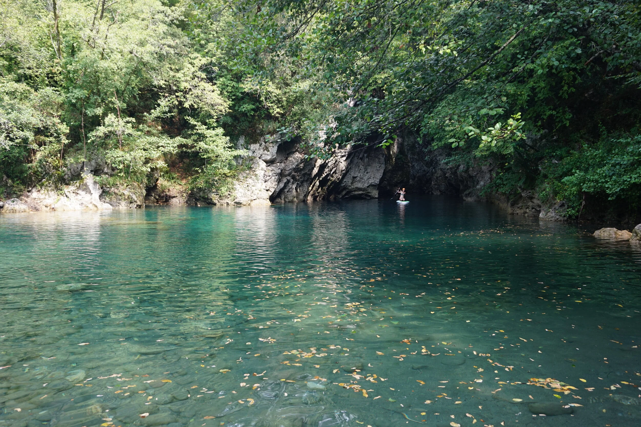 The Exit Strategy // The Opportunity 