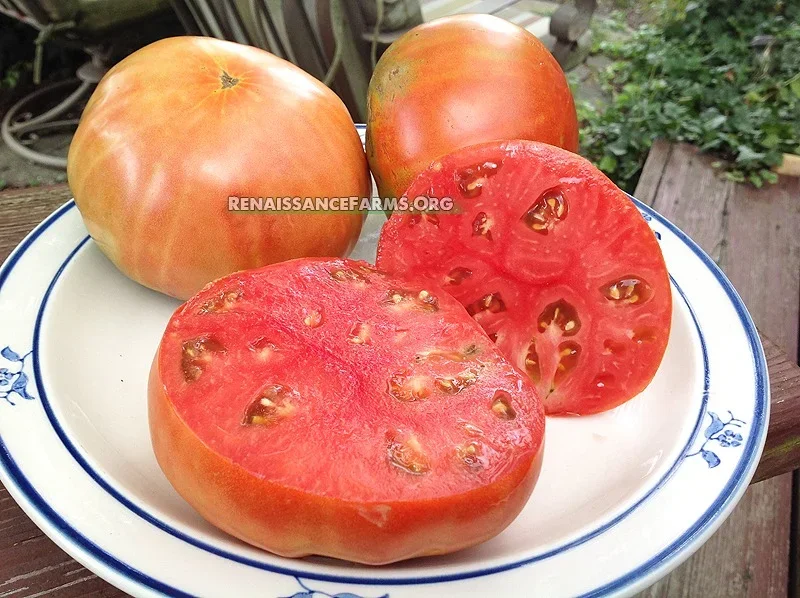 Italian-Giant-Befsteak-Tomatoes.webp