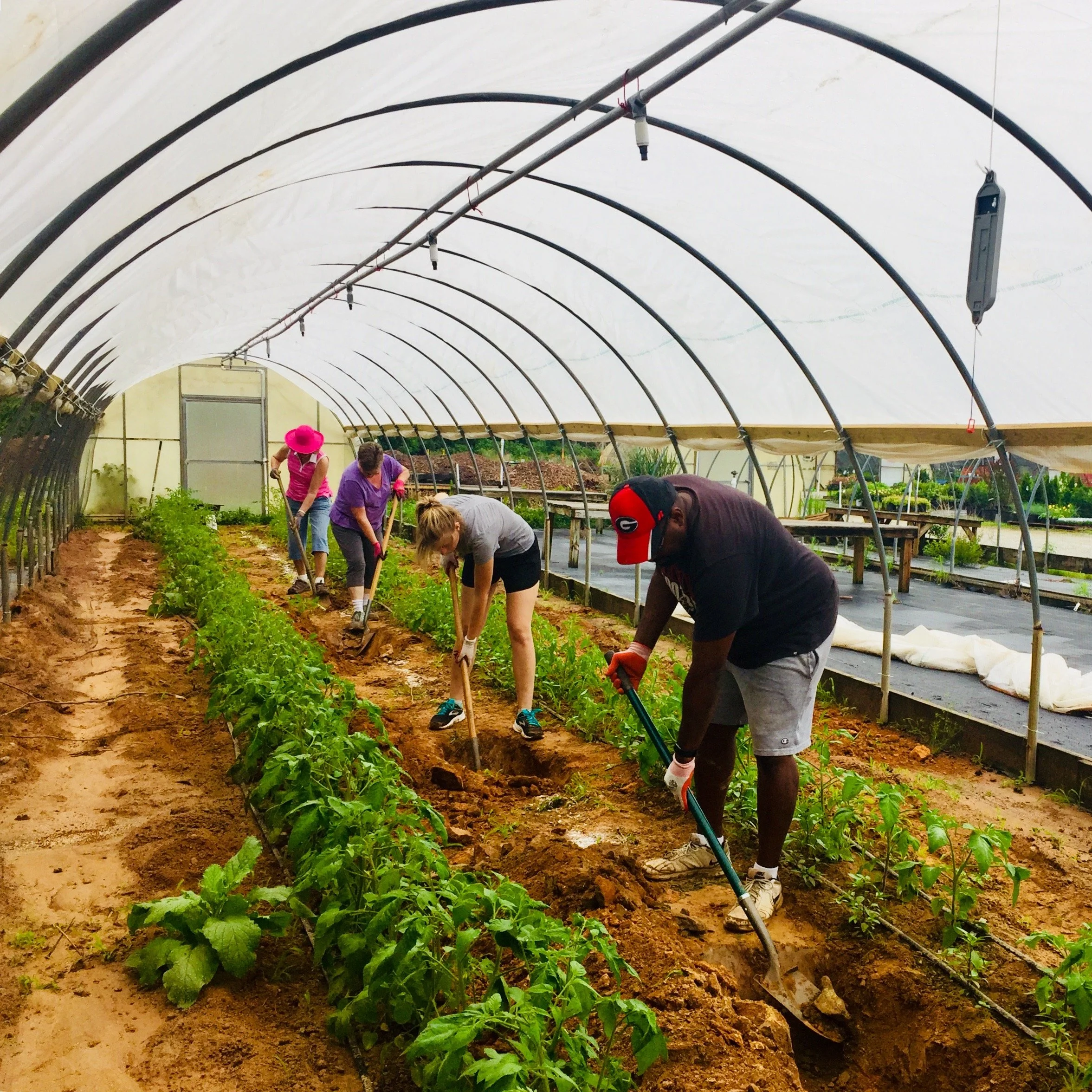 New Garden Farm