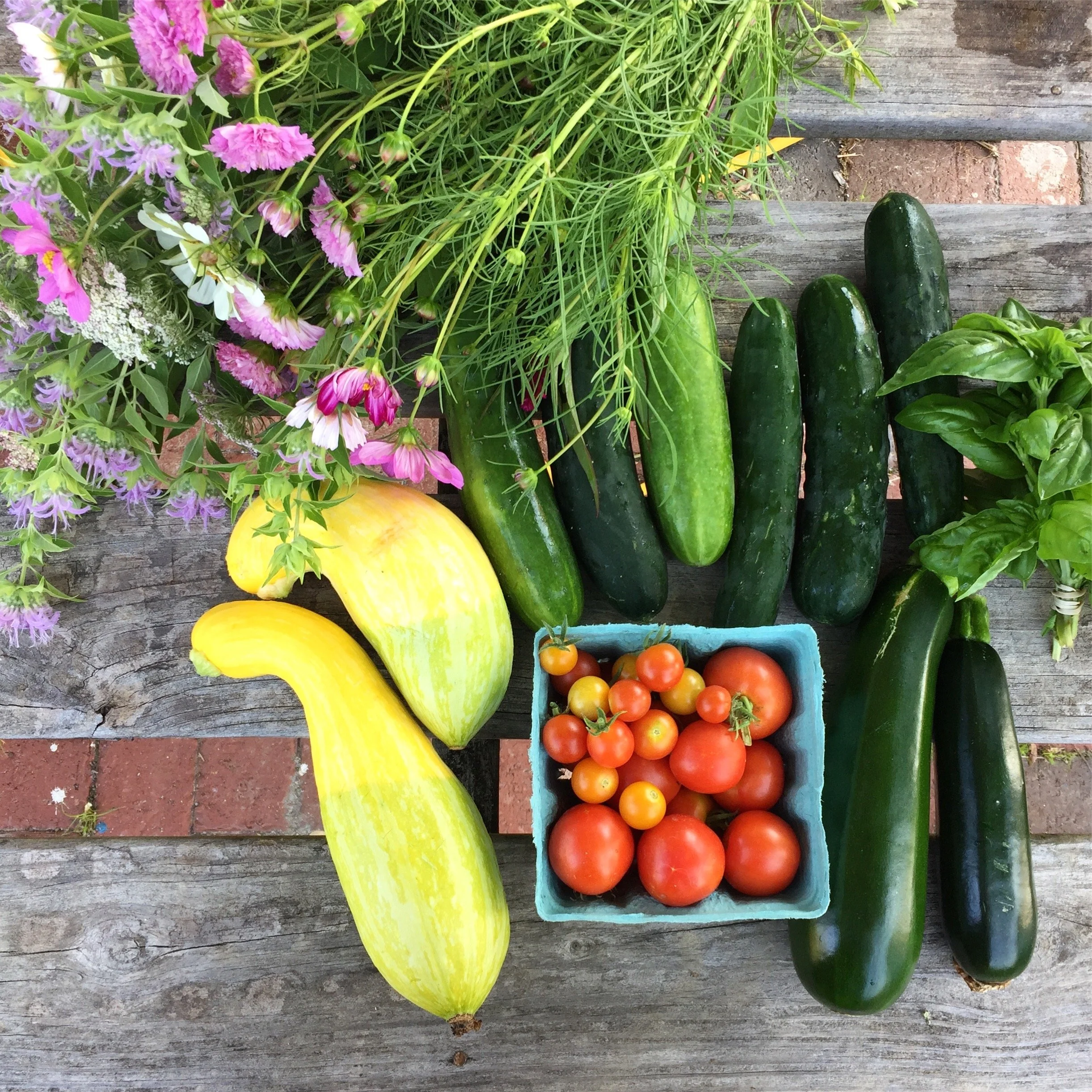 New Garden Farm