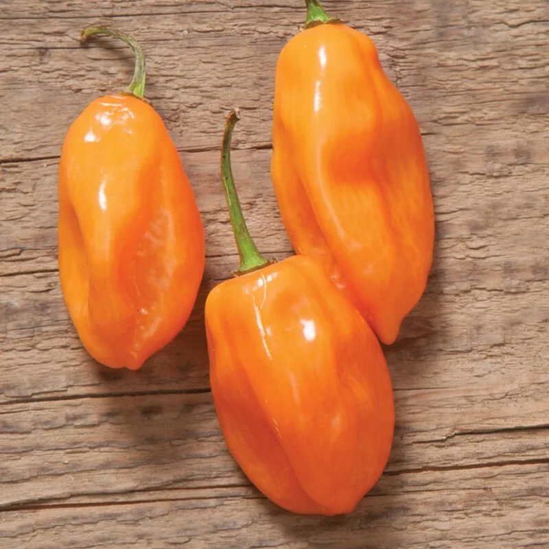 0598g_01_habanero.jpg