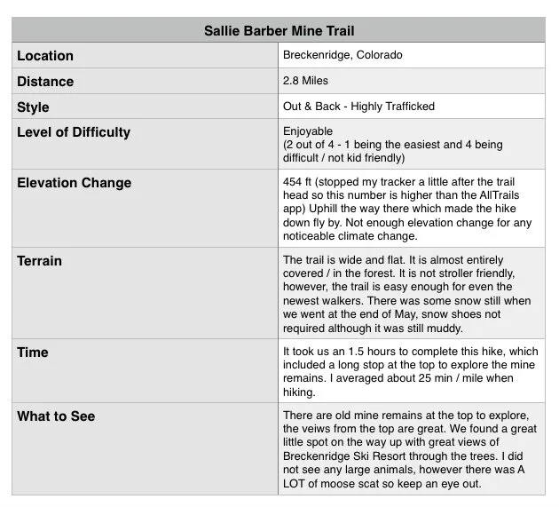 sallie barber mine table 2.jpeg