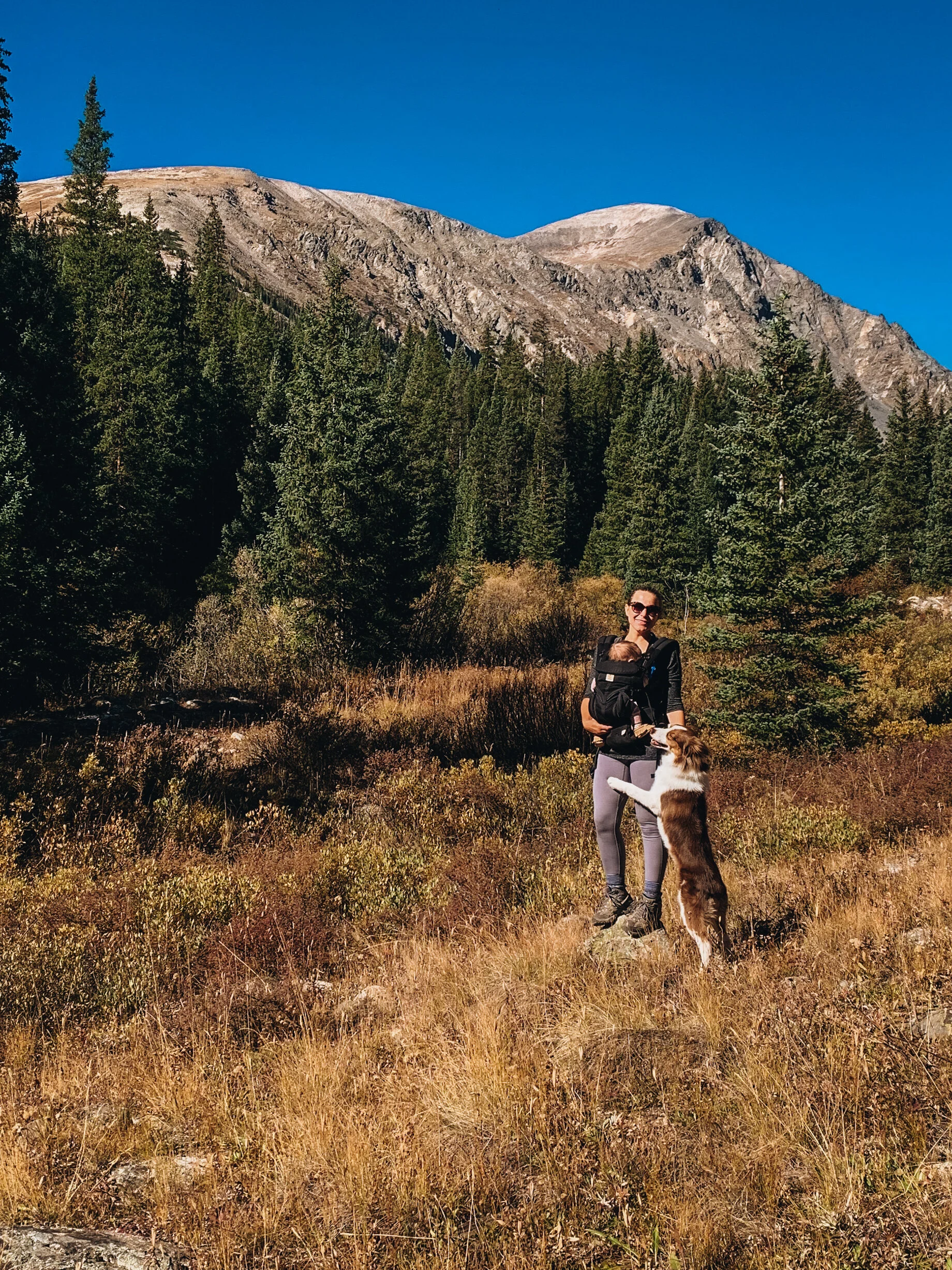 Lower McCullough Gulch Trail
