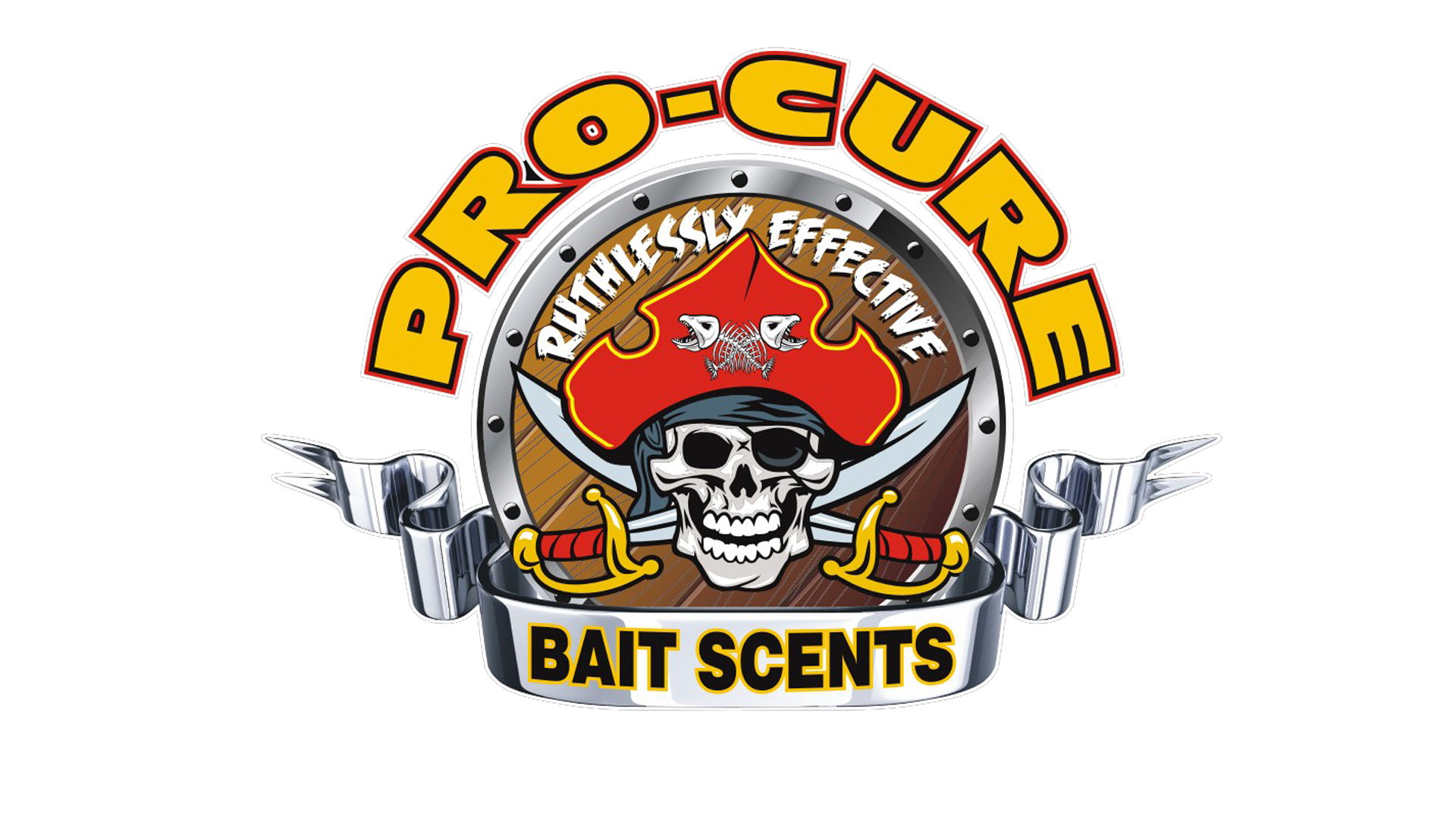 ProCure 2013 Logo TV.png