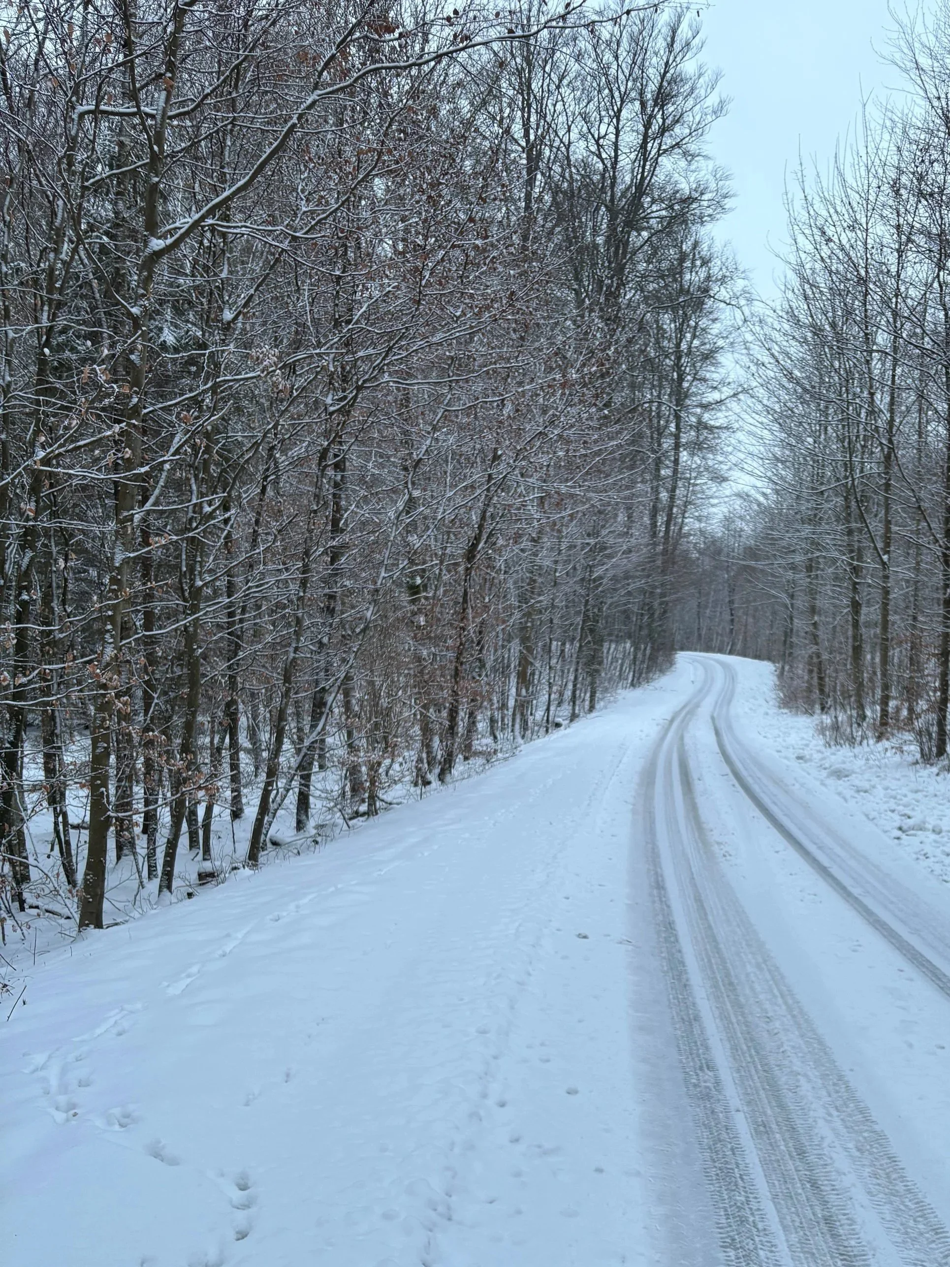 Own your personal growth!