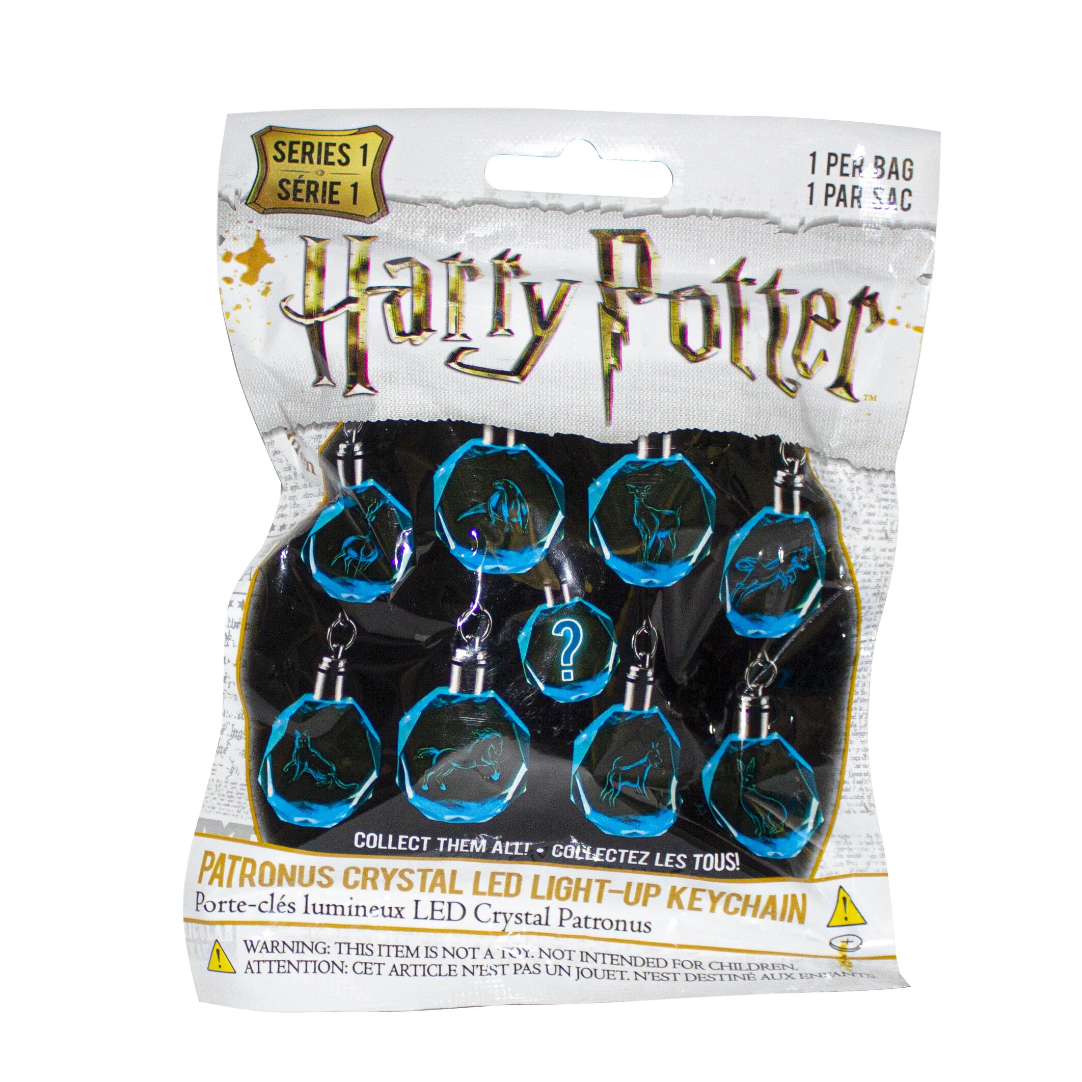 020_Harry Potter Keychain.jpg