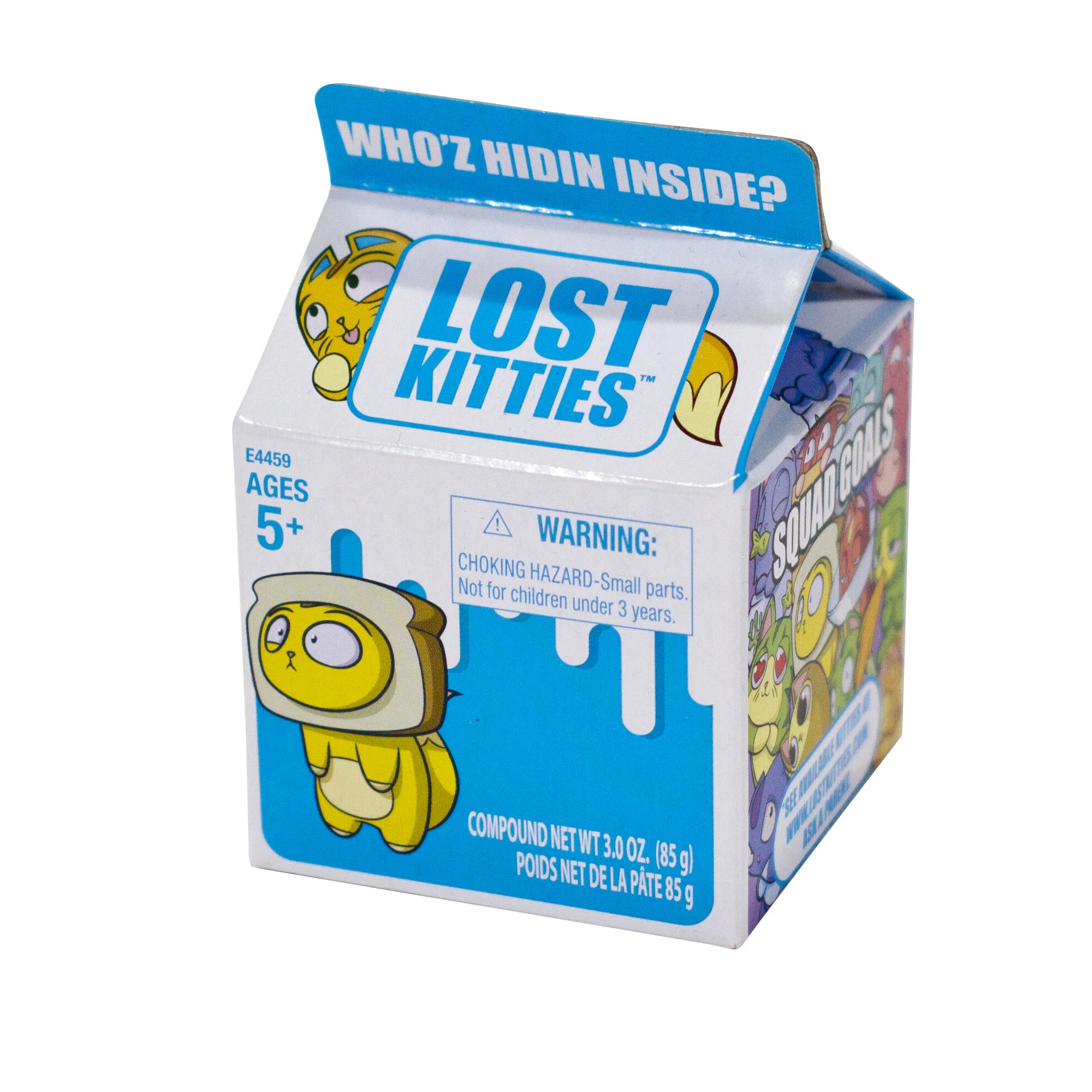001_Lost Kitties.jpg