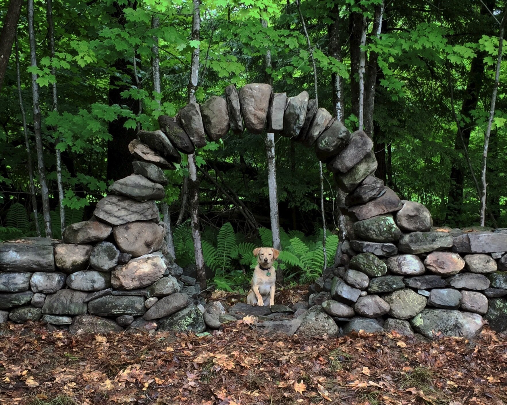 Hermit Woods Trail Builders