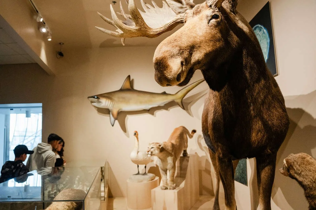 Denver Museum of Nature and Science Membership
