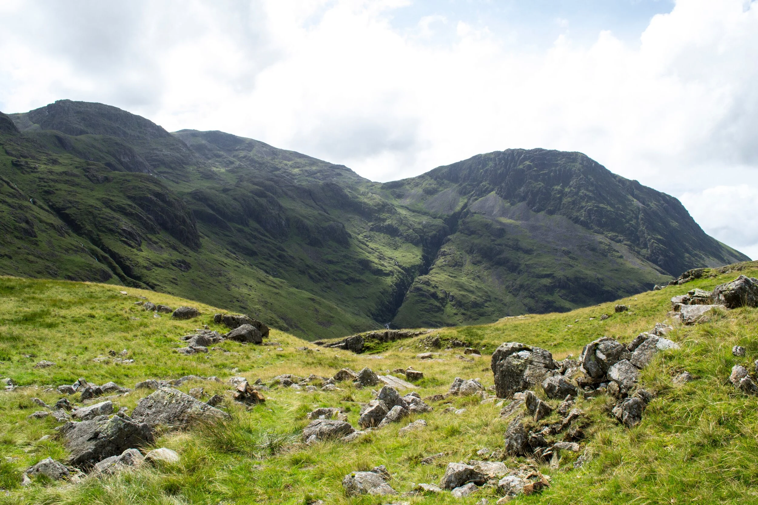 Lessons of the Wilderness