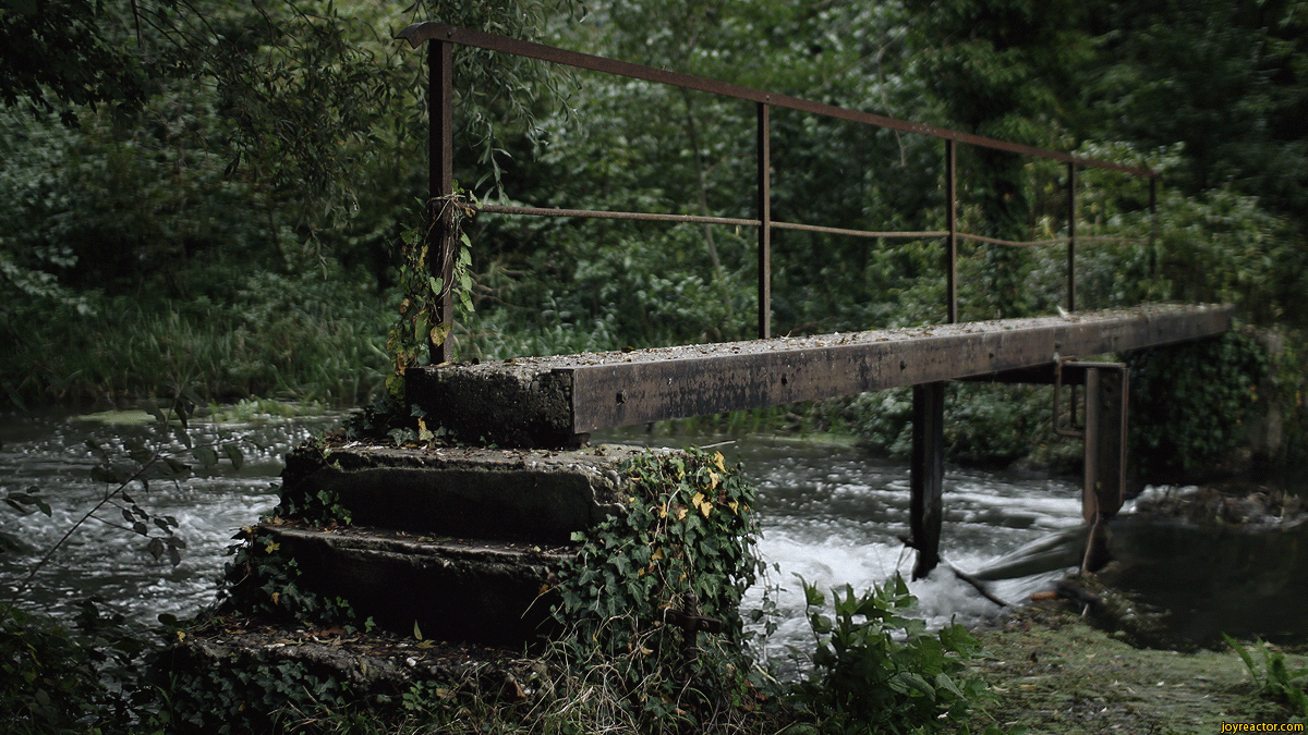 Bridge 1