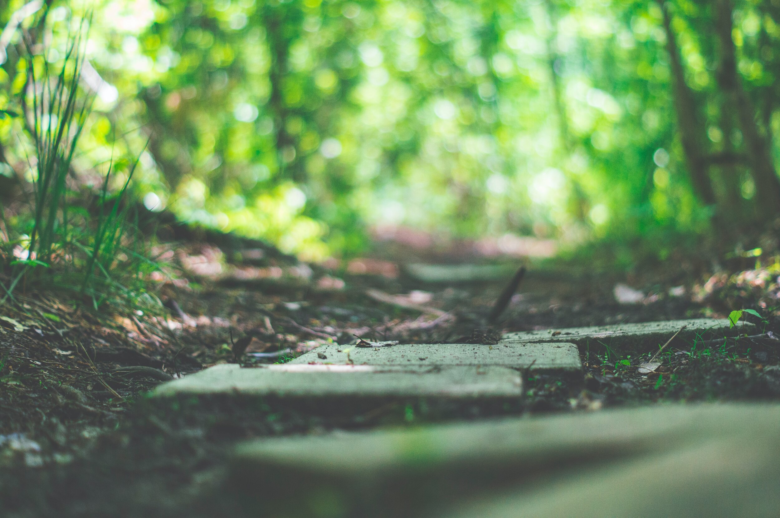 Stumbling Blocks or Stepping Stones - Ruth Doran Bilingual Spanish/English