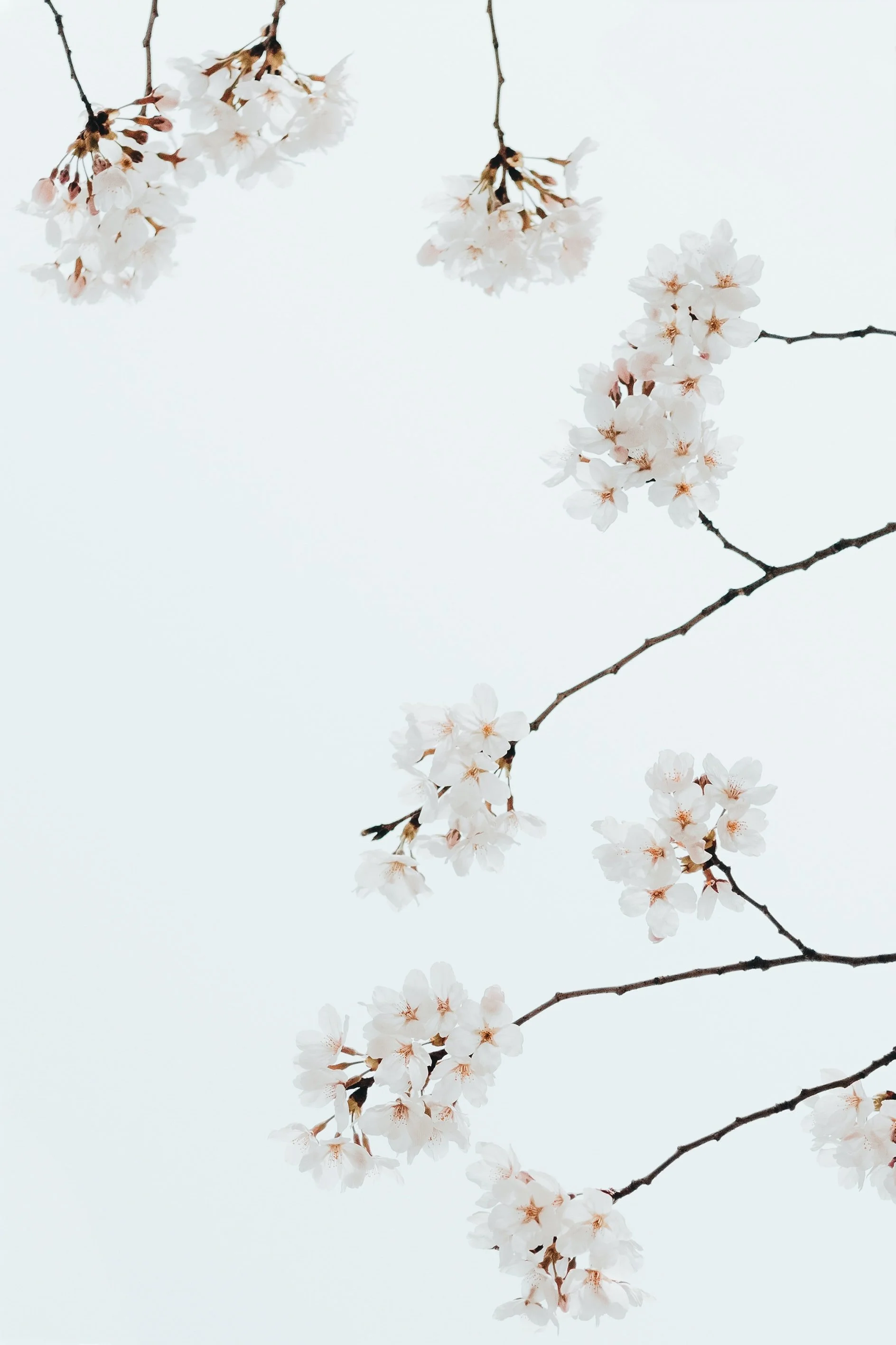 Our Daily Prayer for Tuesday - Maria Guzman