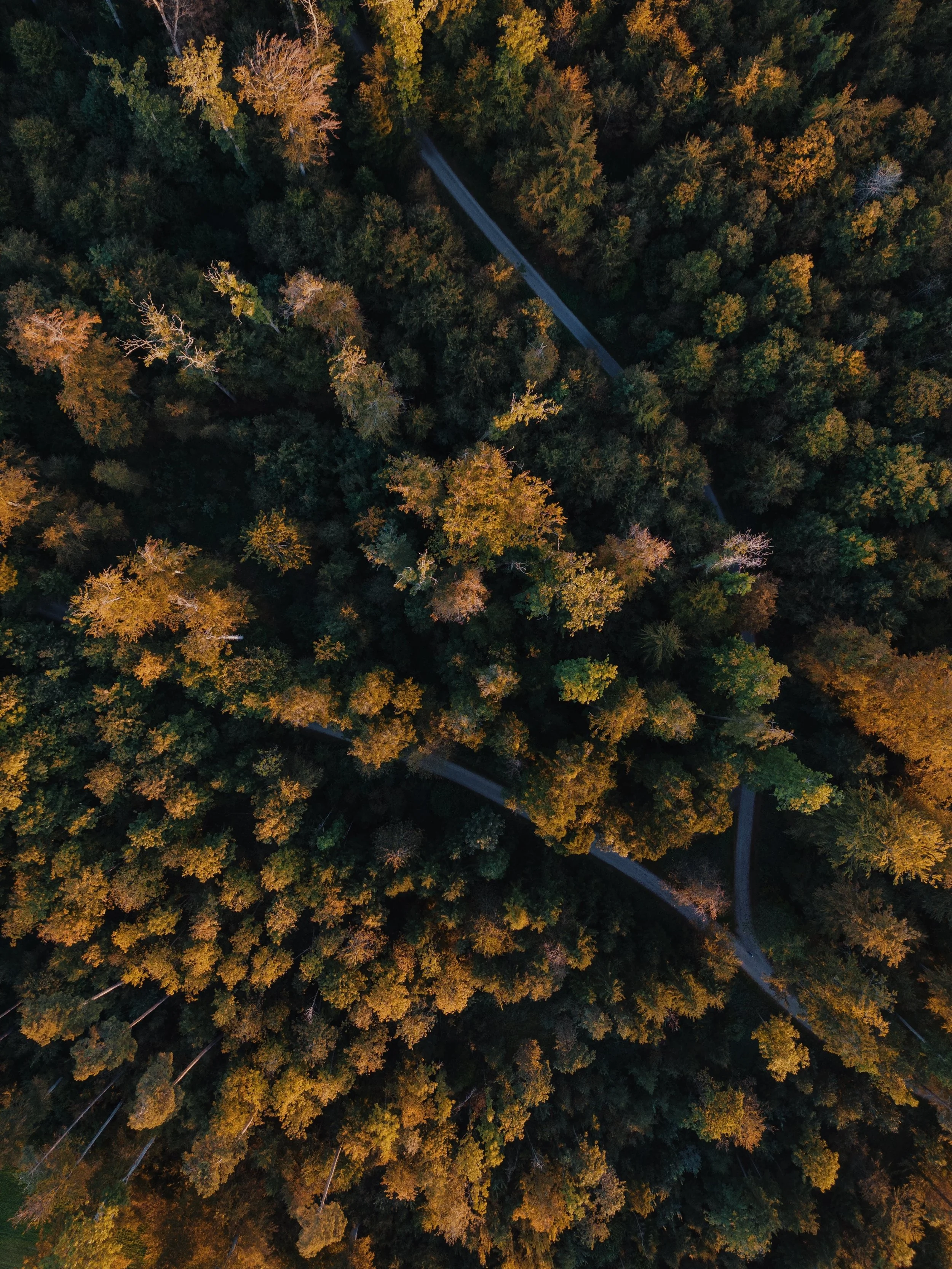 Our Daily Prayer for Monday - Lakeisha Singleton